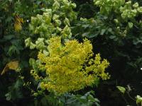 Albums/20060200-New Zealand 2006/20060201-Christchurch/31